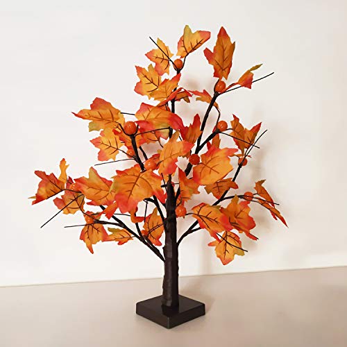 WATERGLIDE Tabletop Lighted Maple Tree 24 LED Thanksgiving Decorations Lights Artificial Table Centerpiece Battery Operated with Timer Leaf and Acorn Autumn Fall Trees for Indoor Home Bedroom Décor 