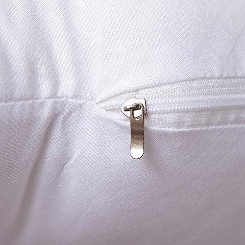 Set of 2 Lightweight PP Cotton Pillow 55cm x 55cm for Couch Cushion Ancdream 35cm x 55cm 14 x 22 Throw Pillow Inserts 