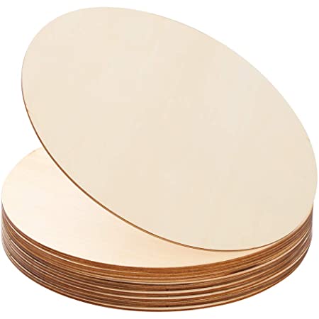 Alder 10 inch, 10 pcs, Wood PLYDOLEX Unfinished Birch or Alder Wood Circles for Crafts 