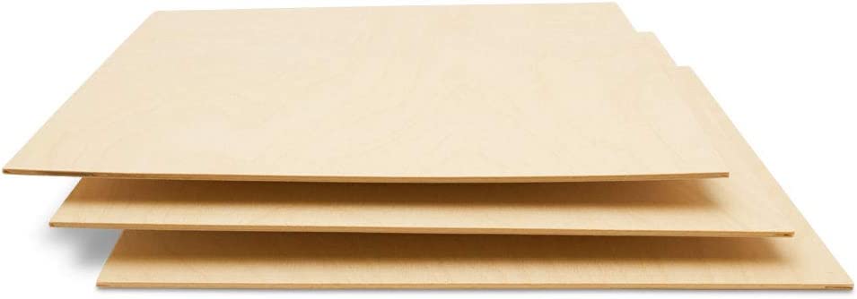 Alder 10 inch, 10 pcs, Wood PLYDOLEX Unfinished Birch or Alder Wood Circles for Crafts 