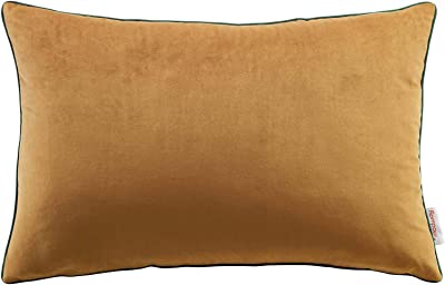 Set of 2 Lightweight PP Cotton Pillow 55cm x 55cm for Couch Cushion Ancdream 35cm x 55cm 14 x 22 Throw Pillow Inserts 