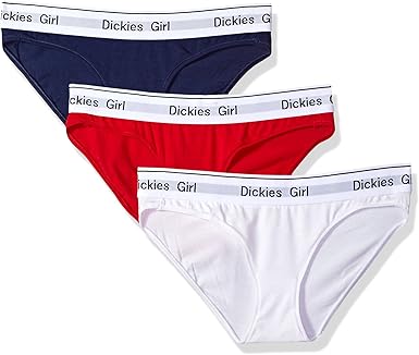 Dickies Girl Women's Seamless Hipster 3 Pack 